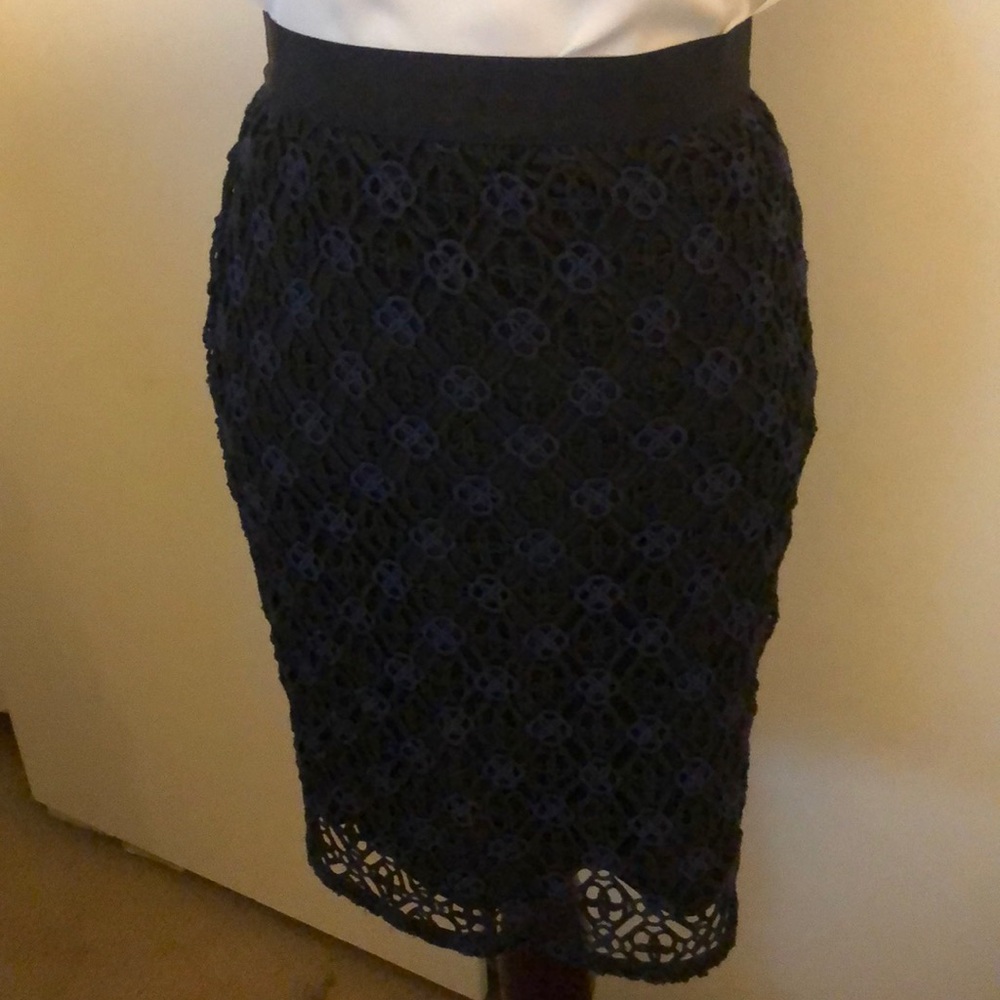 Navy and black embroidered pencil skirt